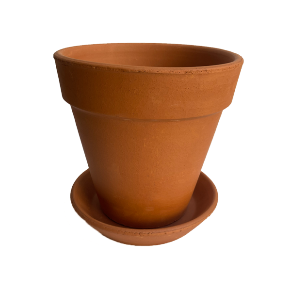 Maceta De Barro Decoración Suculentas Y Plantas (22cm) - Image 3